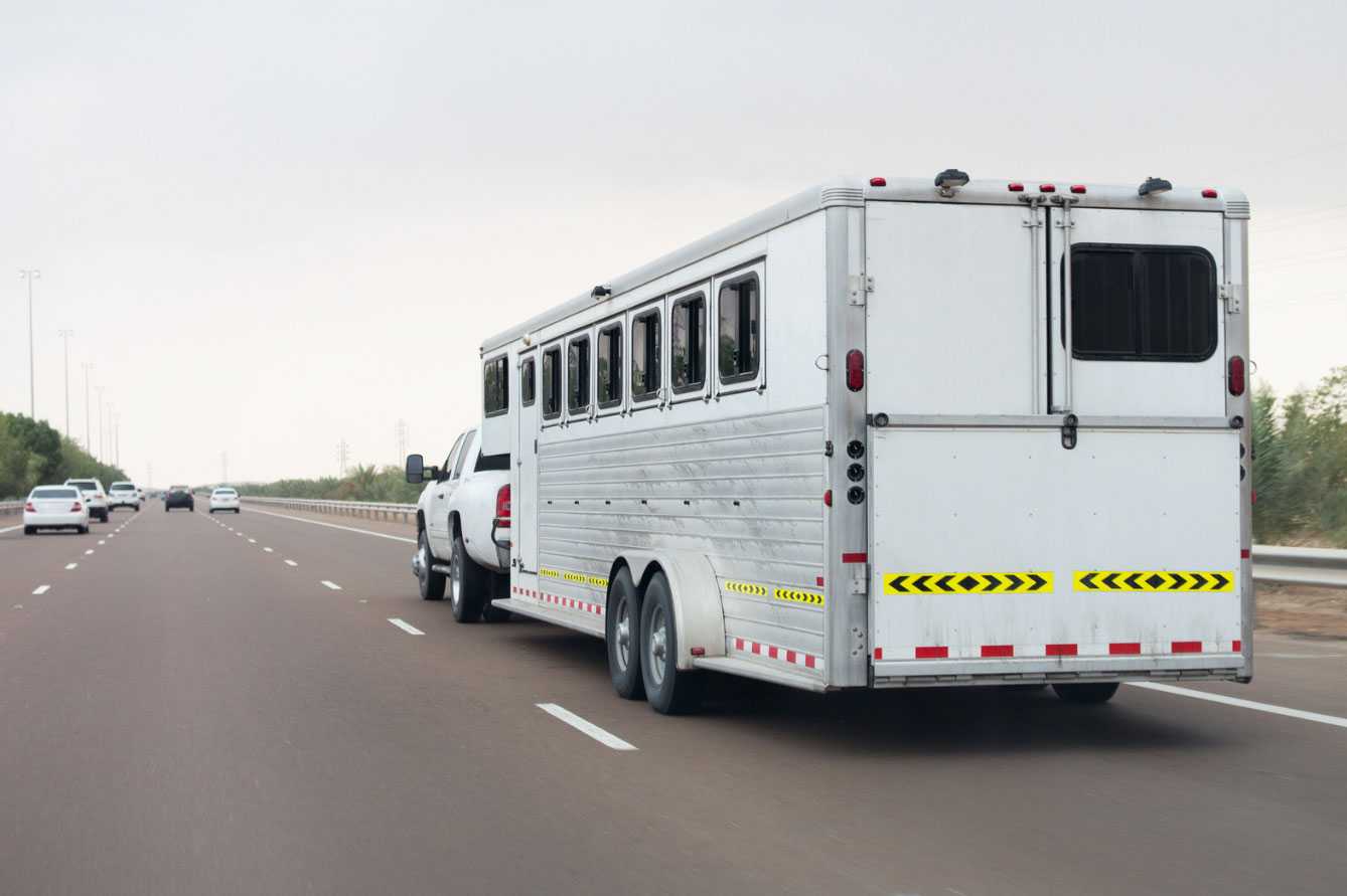 Horse Trailer Insurance